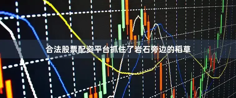 合法股票配资平台抓住了岩石旁边的稻草