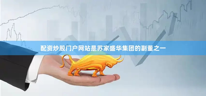 配资炒股门户网站是苏家盛华集团的副董之一