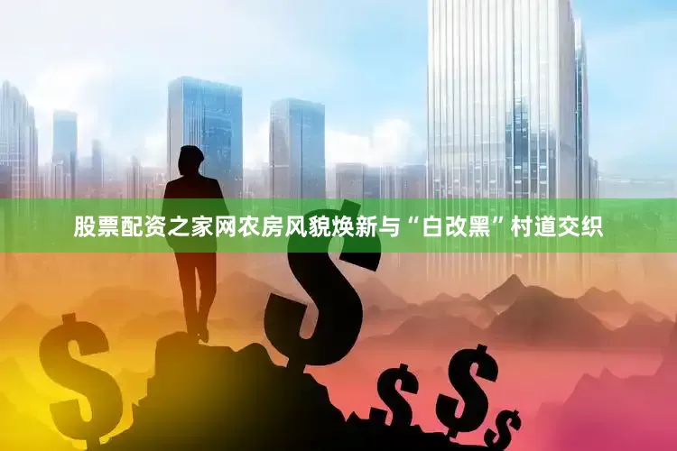 股票配资之家网农房风貌焕新与“白改黑”村道交织