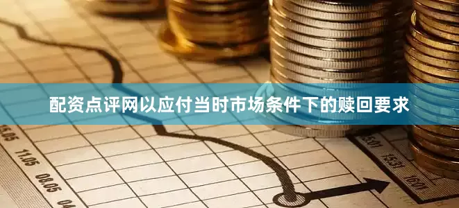 配资点评网以应付当时市场条件下的赎回要求