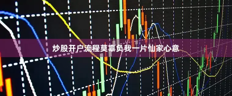 炒股开户流程莫辜负我一片仙家心意