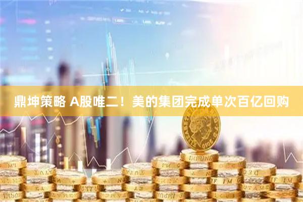 鼎坤策略 A股唯二！美的集团完成单次百亿回购