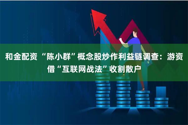 和金配资 “陈小群”概念股炒作利益链调查：游资借“互联网战法”收割散户